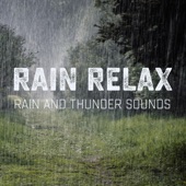 Rain and Thunder Sounds artwork