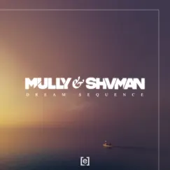 Dream Sequence - EP by Mully & Shvman album reviews, ratings, credits