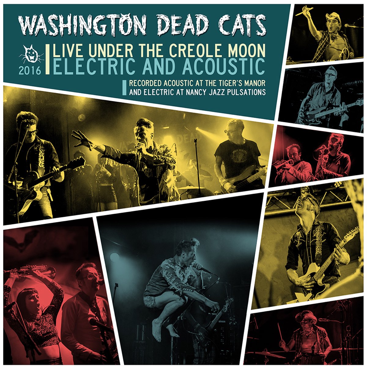 Live me under. Washington Dead Cats. Фото Washington Dead Cats. Dead Cat слушать. Nancy Jazz pulsations poster.