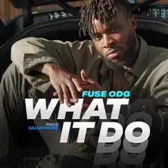 What It Do - Single by Fuse ODG album reviews, ratings, credits