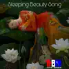 Sleeping Beauty Song - Single album lyrics, reviews, download