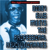 The Aggrovators Present: Bobby Ellis Meets the Professional Revolutionaries artwork
