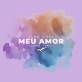 Meu Amor (Santti Remix) artwork