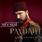 Payitaht Abdülhamid artwork