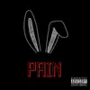 Pain (feat. Rabbitt) - Single album lyrics, reviews, download