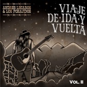 Viaje de Ida y Vuelta, Vol. II artwork