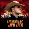 Seqüência de Vapo Vapo by Biu do Piseiro iTunes Track 1