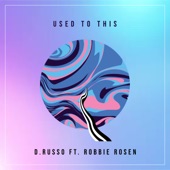 Used to This (feat. Robbie Rosen) artwork