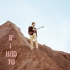If I Had To - Single