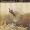 Electricity Is Humming - Salt Creek lyrics