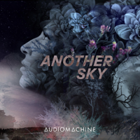 Audiomachine - Another Sky artwork