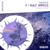 If I Had Wings (Radio Edit) artwork