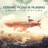 Stream & download From the Future - Single