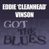 Eddie 'Cleanhead' Vinson - Alimony Blues