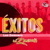 Éxitos los Zemvers