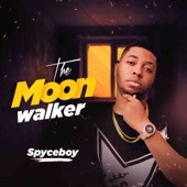 The Moon Walker - EP artwork