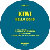 Hello Echo (feat. Bestley) [Radio Edit] artwork