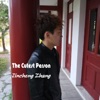 Jincheng Zhang - Not Seen for a Few Years