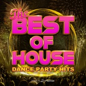 THE BEST OF HOUSE -DANCE PARTY HITS- mixed by DJ Mellow (DJ MIX) artwork