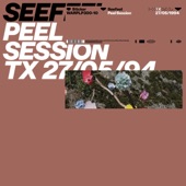 Peel Session - EP artwork