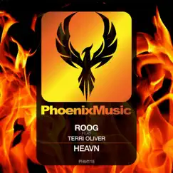 Heavn - Single by Roog & Terri Oliver album reviews, ratings, credits