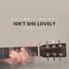 Isn't She Lovely (Acoustic) - Single