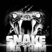 Snake Ina Them artwork
