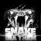 Snake Ina Them artwork