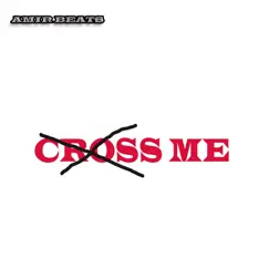 Cross Me - Single by Amir Beats album reviews, ratings, credits