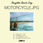 104 Degrees by Slaughter Beach, Dog