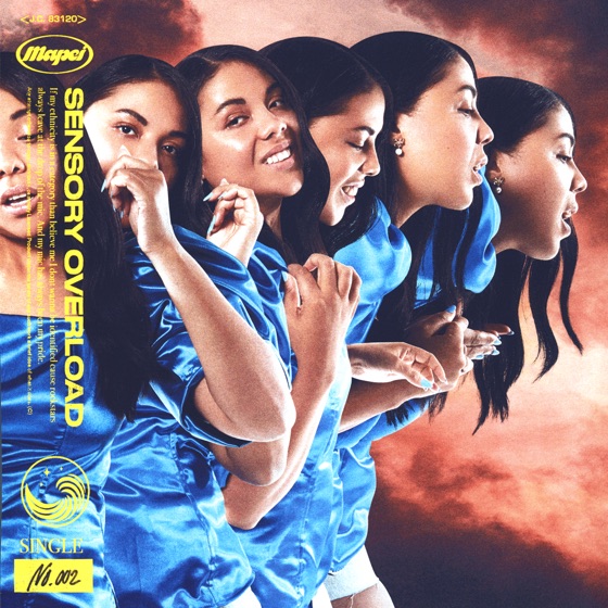 Cover artwork for Sensory Overload