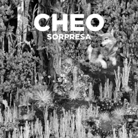 Cheo - Sorpresa artwork