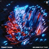 So Long (feat. Thief) artwork