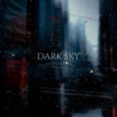 Dark Sky artwork