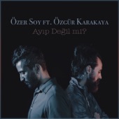 Ayıp Değil Mi? (feat. Özgür Karakaya) artwork