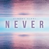 Never - Single