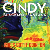 Shes Got It Goin On - Single - Cindy Blackman Santana