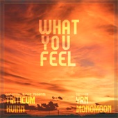 What You Feel (Monomoon Remix) artwork