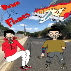 Down in Flames - Single by Lil High Lil Low album reviews, ratings, credits