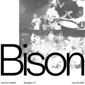 Bison - In a Fortnight (Live)
