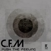 Push the Feeling - Single