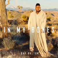 Ray Dalton - In My Bones artwork