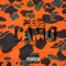 Camo - Feese lyrics