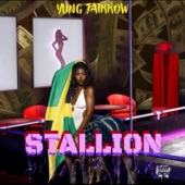 Stallion artwork