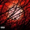 Red Skies (feat. Coca Kash) - Gino Richey lyrics