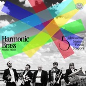 Die Jahreszeiten, Op. 37a: VI. Juni: (Barcarolle) [Arr. for Brass Quintet] artwork