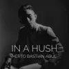 In a Hush - Single album lyrics, reviews, download