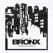 Bronx artwork