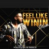 Feel Like Winin' - Single