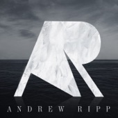 Falling Faster by Andrew Ripp